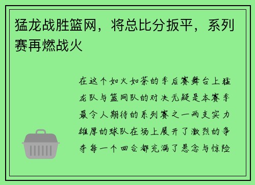 猛龙战胜篮网，将总比分扳平，系列赛再燃战火