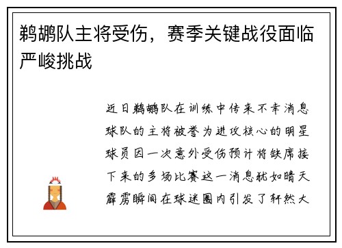 鹈鹕队主将受伤，赛季关键战役面临严峻挑战