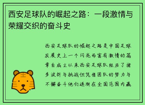 西安足球队的崛起之路：一段激情与荣耀交织的奋斗史